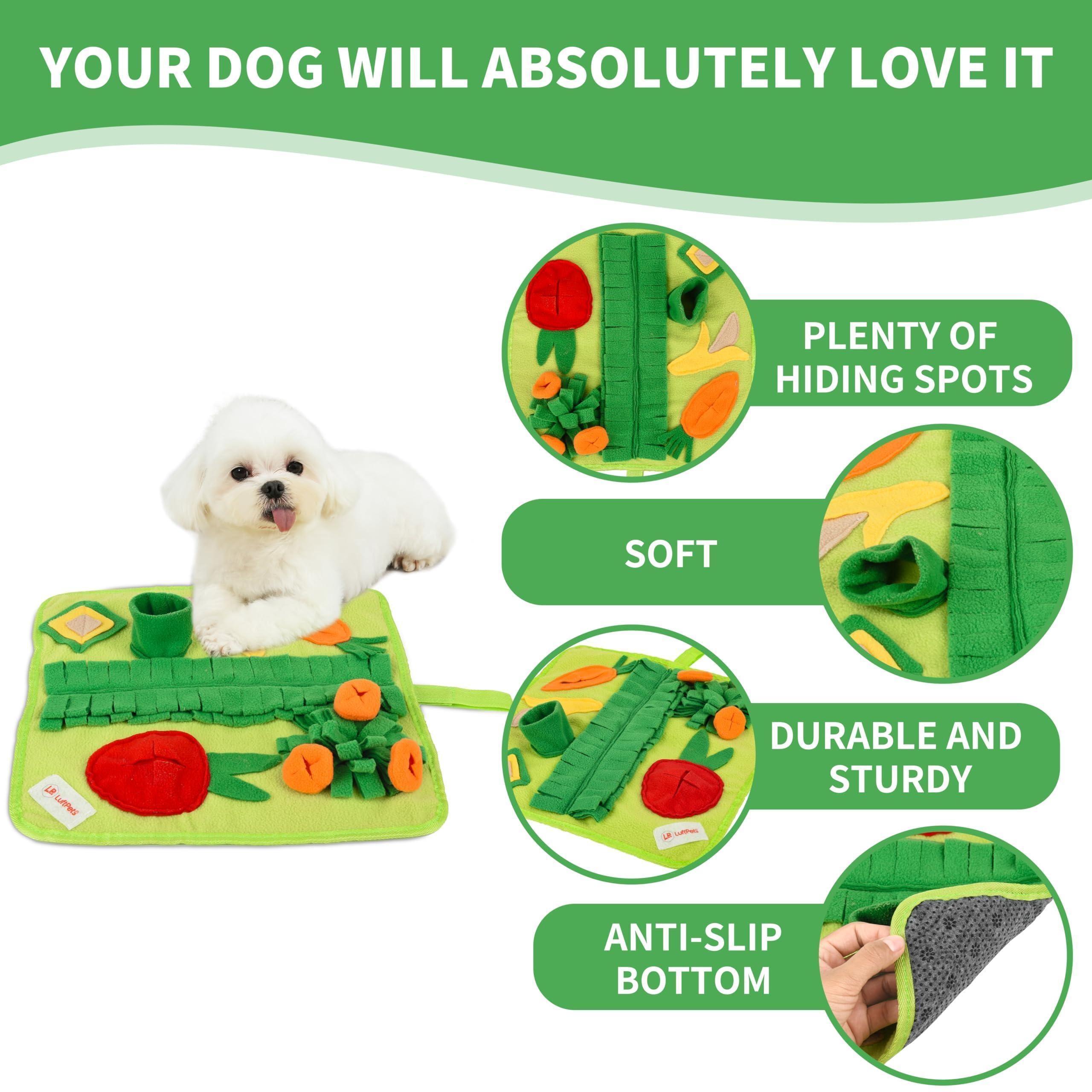 Snuffle Mat for Small Dogs Cats 19X19 Inch Soft Foraging Mat for Rabbits Washable anti Slip Perfect for Bunnies Guinea Pigs & Hamsters Sniff Puzzle Toy for Puppies (Medium)
