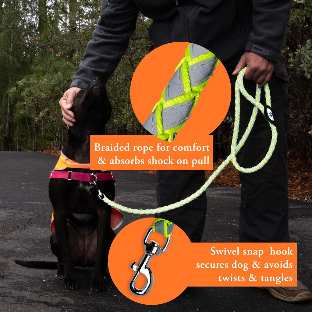 Reflective Dog Leash 6 Ft Long Heavy Duty Durable for Large Medium Breeds Rope