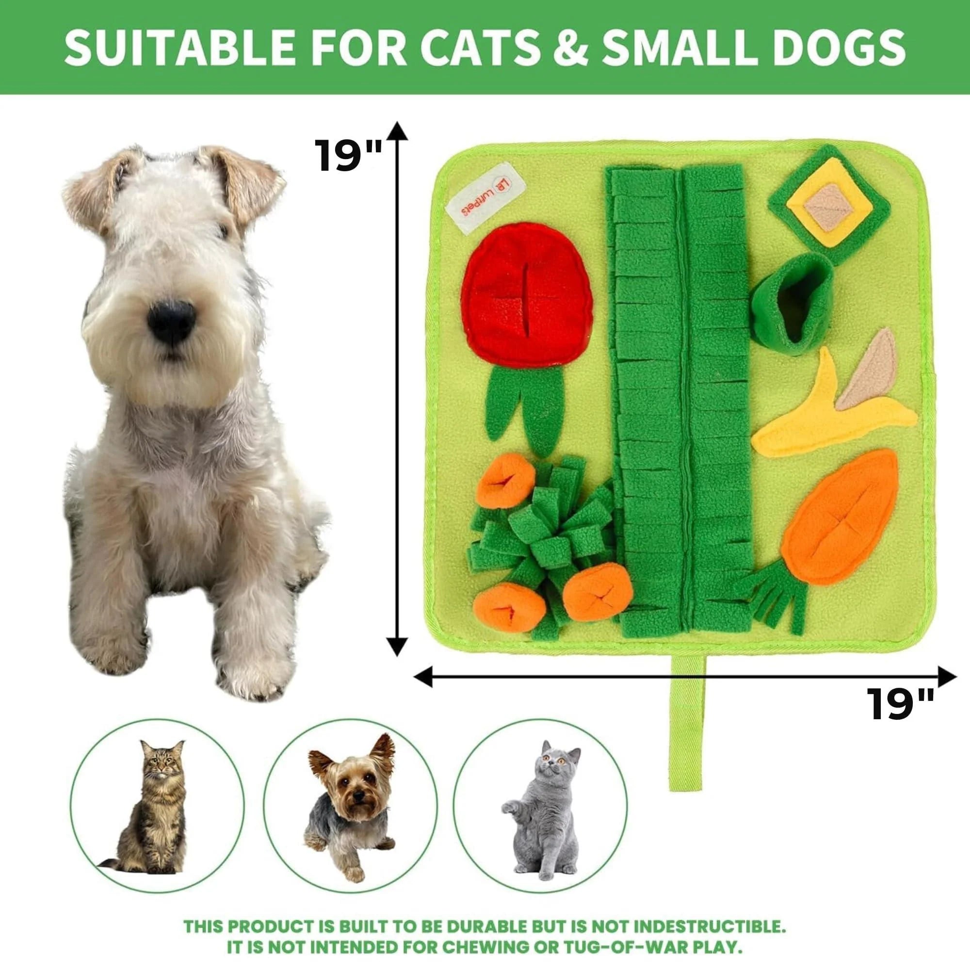 Snuffle Mat for Small Dogs Cats 19X19 Inch Soft Foraging Mat for Rabbits Washable anti Slip Perfect for Bunnies Guinea Pigs & Hamsters Sniff Puzzle Toy for Puppies (Medium)